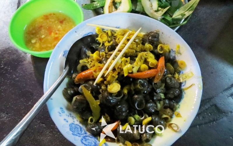 Best places to visit in Vietnam, Vietnamese best places to visit