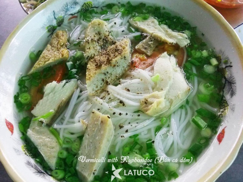https://latuco.vinadotcom.com/best-places-to-visit-in-vietnam/